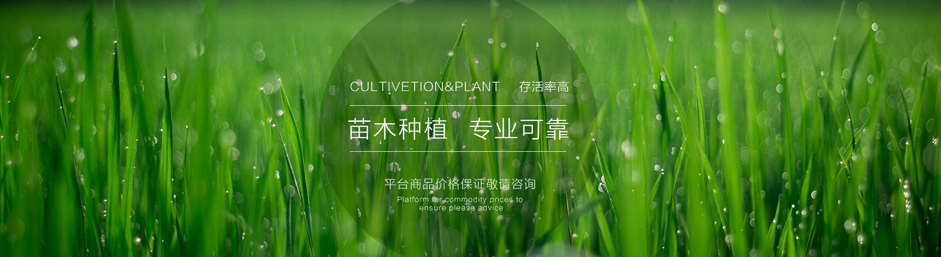 幻灯一